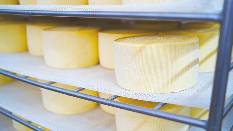 チーズなどの特産物の輸入